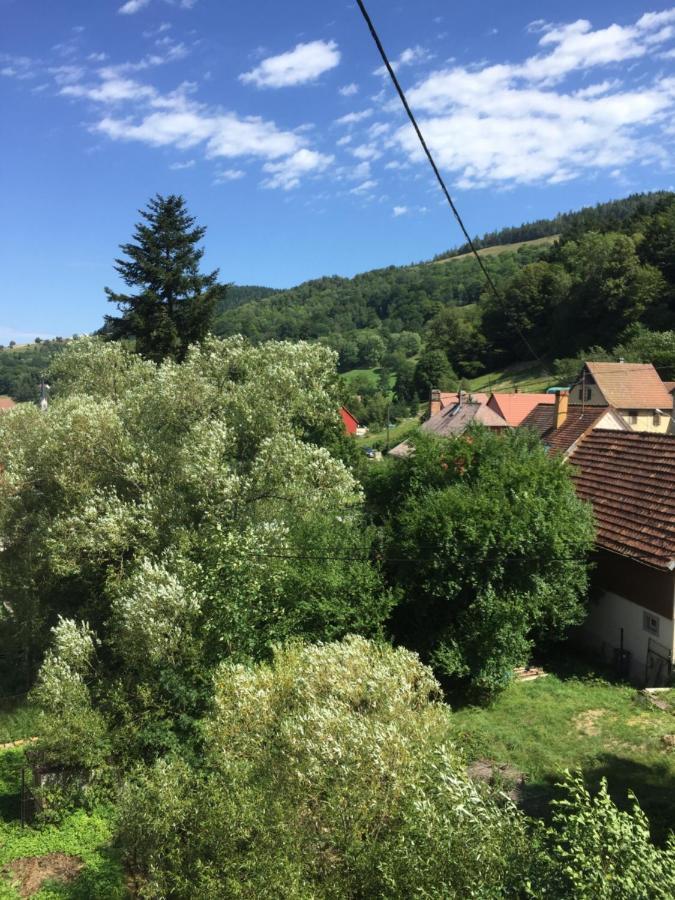 Chambres D'Hotes A La Fecht Nature Et Bien-Etre Sondernach Exterior photo