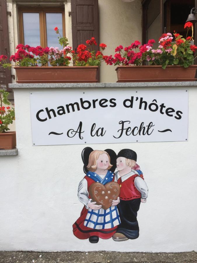 Chambres D'Hotes A La Fecht Nature Et Bien-Etre Sondernach Exterior photo